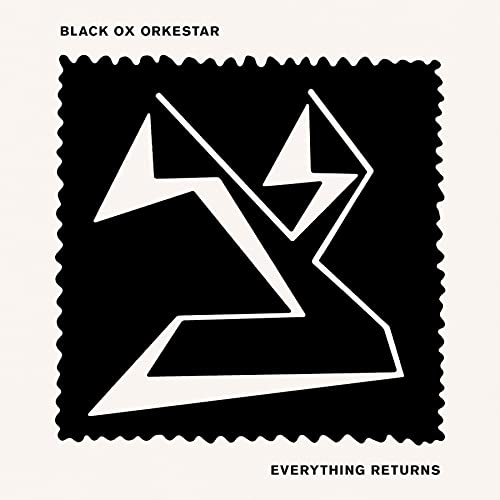 Everything Returns [Vinyl LP] von Constellation