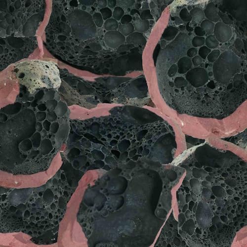 Say Laura [Vinyl LP] von Constellation