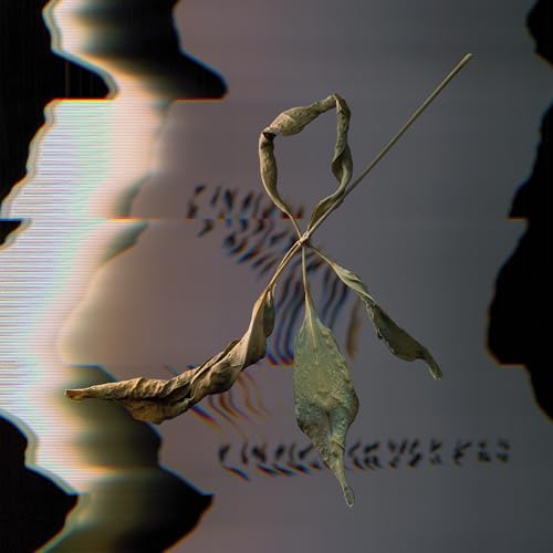 Trill Scan [Vinyl LP] von Constellation / Cargo