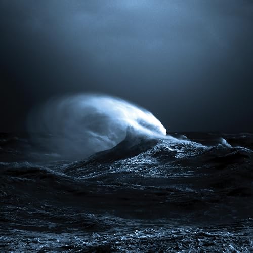 Exo [Vinyl LP] von Constellation
