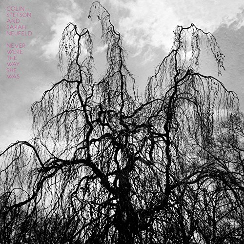 Never Were the Way She Was [Vinyl LP] von Constellation