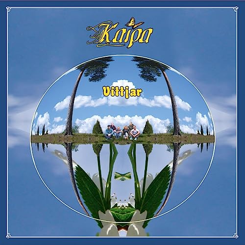 Vittjar [Vinyl LP] von Construction Records