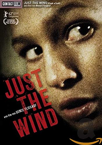 DVD - Just The Wind (1 DVD) von Contact Film