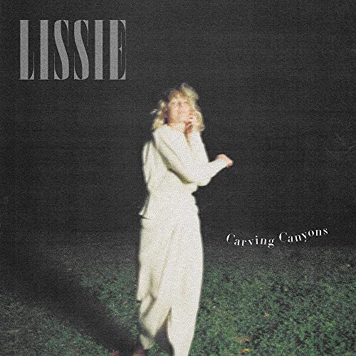 Carving Canyons [Vinyl LP] von COOKING VINYL