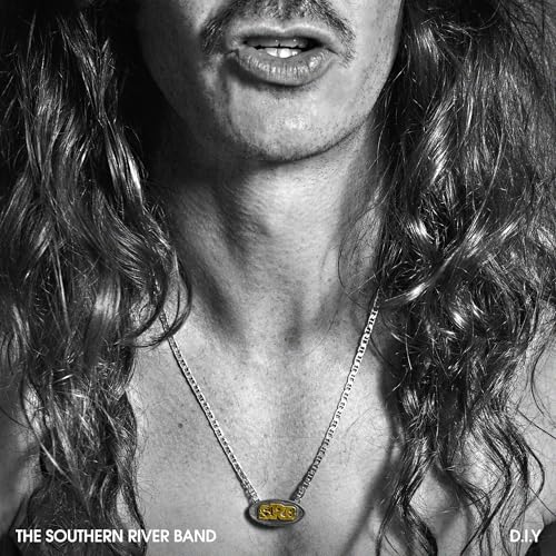 DIY [Vinyl LP] von COOKING VINYL
