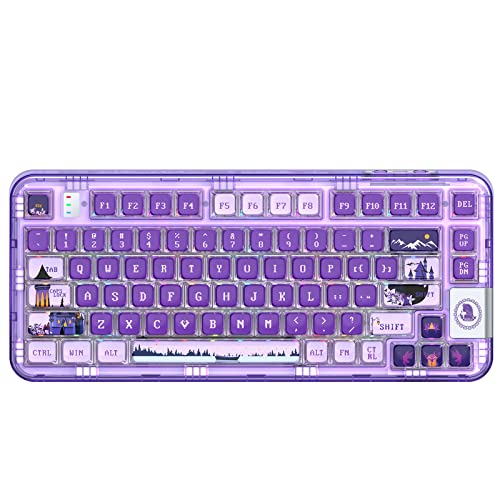 CoolKiller Mechanical Keyboard, Rechargeable Wireless Gaming Keyboard with RGB Backlit, Hot Swappable Keyboard with Gasket Structures for Windows/Mac, 75% Design, CK75 (Purple, Lilac Switches) von CoolKiller