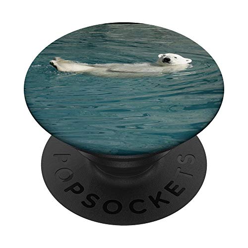 Bär Eisbär Knut Polarbär Icebear Polar Bear Nordpol PopSockets PopGrip: Ausziehbarer Sockel und Griff für Handys/Tablets mit Tauschbarem Top von Cooler Fingerhalter schön am Handy Mädchen & Jungs