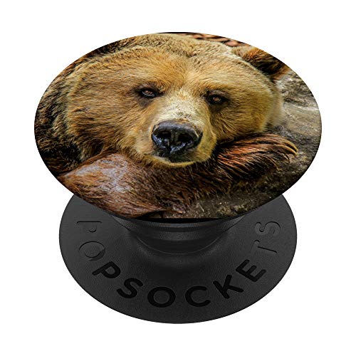 Bär Grizzlybär Graubär Braunbär Wald Grizzly Bear Gesicht PopSockets mit austauschbarem PopGrip von Cooler Fingerhalter schön am Handy Mädchen & Jungs
