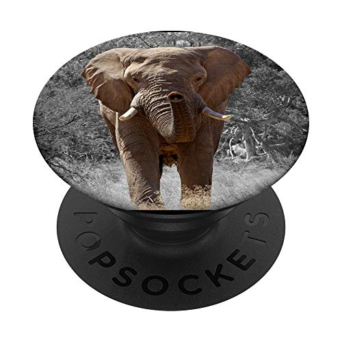 Elefant Elephant Tier Safari Afrika Grau Zoo Elefan Elefanz PopSockets PopGrip: Ausziehbarer Sockel und Griff für Handys/Tablets mit Tauschbarem Top von Cooler Fingerhalter schön am Handy Mädchen & Jungs