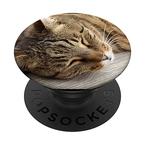 süße schlafende Katze Kopf Katzenliebhaber Katzenbesitzer PopSockets PopGrip: Ausziehbarer Sockel und Griff für Handys/Tablets mit Tauschbarem Top von Cooler Fingerhalter schön am Handy Mädchen & Jungs