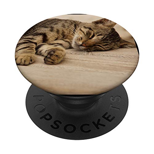 süße schlafende graue Katze Katzenliebhaber Katzenbesitzer PopSockets PopGrip: Ausziehbarer Sockel und Griff für Handys/Tablets mit Tauschbarem Top von Cooler Fingerhalter schön am Handy Mädchen & Jungs