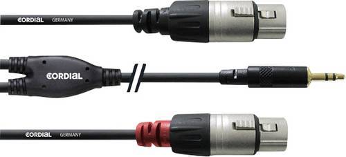 Cordial Audio Adapterkabel [1x Klinkenstecker 3.5mm - 2x XLR-Buchse] 1.80m Schwarz von Cordial