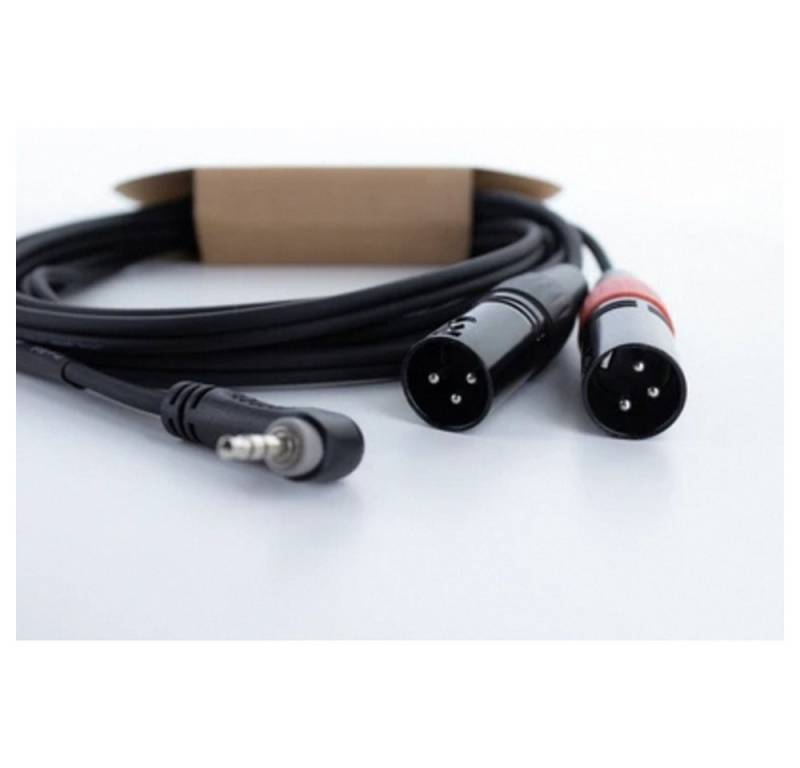 Cordial Cordial EY 1 WRMM XLR Y-Adapter [1x Klinkenstecker 3.5 mm - 2x XLR-Ste Audio-Kabel, (100.00 cm) von Cordial