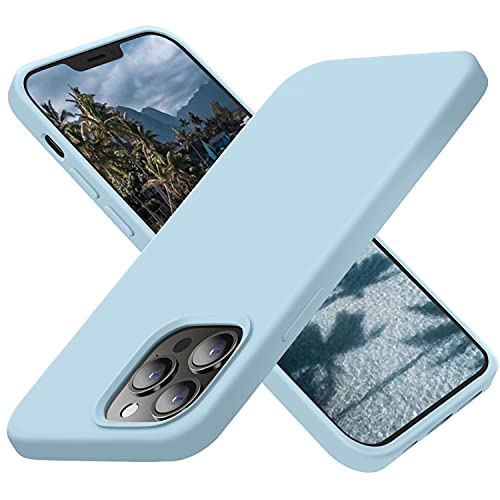 Cordking Designed for iPhone 13 Pro Max Case, Silicone Ultra Slim Shockproof Protective Phone Case with [Soft Anti-Scratch Microfiber Lining], 6.7 inch, Sky Blue von Cordking