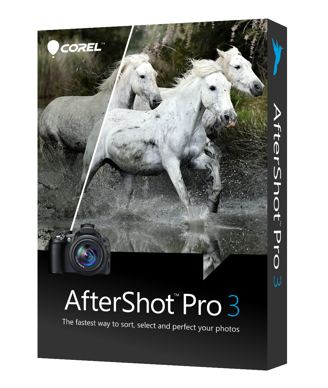 Corel AfterShot Pro - (v. 3) - Lizenz - 1 Benutzer - ESD - Linux, Win, Mac - Multi-Lingual von Corel