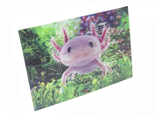 3 D Ansichtskarte Axolotl, Postkarte Wackelkarte Hologrammkarte Tier Molch Wassertiere von Cornelissen