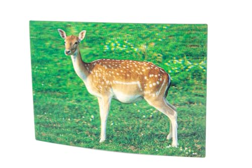 3 D Ansichtskarte Damwild, Postkarte Wackelkarte Hologrammkarte Tier Hirsch Rehe von Cornelissen