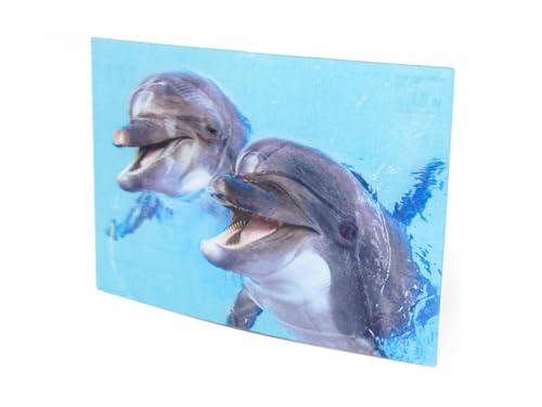 3 D Ansichtskarte Delfine, Postkarte Wackelkarte Hologrammkarte Tier Fisch Wassertiere Delfin von Cornelissen