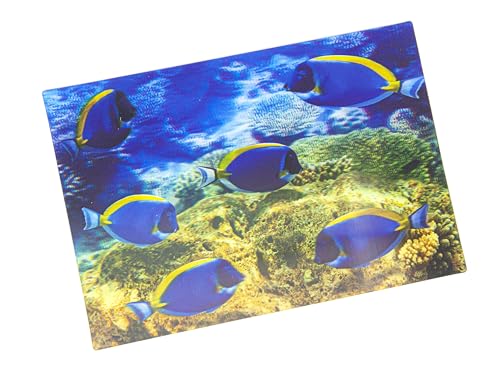 3 D Ansichtskarte Doktorfische, Postkarte Wackelkarte Hologrammkarte Tier Fisch Wassertier von Cornelissen