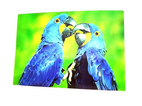 3 D Ansichtskarte Hyazinth Aras, Postkarte Wackelkarte Hologrammkarte Tier Vogel Vögel Papagei Aras von Cornelissen