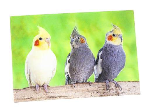 3 D Ansichtskarte Nymphensittiche, Postkarte Wackelkarte Hologrammkarte Tier Vogel Sittich von Cornelissen