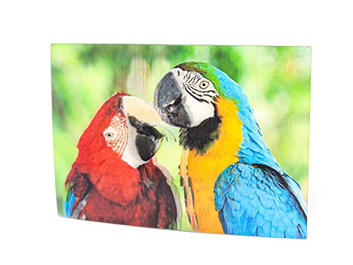 3 D Ansichtskarte Papageien, Postkarte Wackelkarte Hologrammkarte Tier Vogel Vögel Papagei Aras von Cornelissen