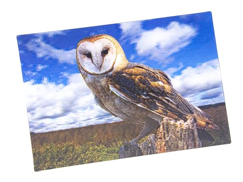 3 D Ansichtskarte Schleiereule Postkarte Wackelkarte Hologrammkarte Tiere Schleiereulen Eule Vogel Greifvogel von Cornelissen