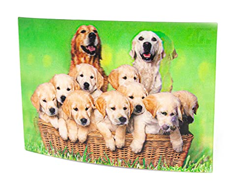 3D Postkarte Golden Retriever von Cornelissen