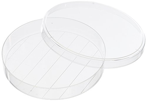 Corning Falcon 353025 TC-Treated Cell Culture Dish mit 20 mm Grid, Sterile, 150 mm (100-er Pack) von Corning