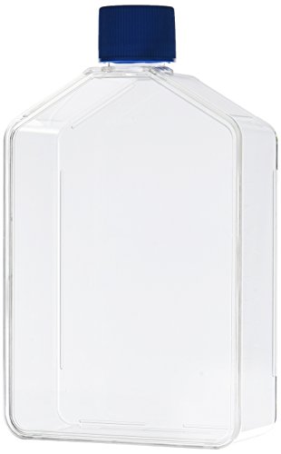 Corning Falcon 353028 Rectangular Straight Neck Cell Culture Flask mit Plug Seal Cap, 175 cm² Corning Falcon 353028 Rectangular Straight Neck Cell Culture Flask mit Plug Seal Cap, 175 cm² von Corning