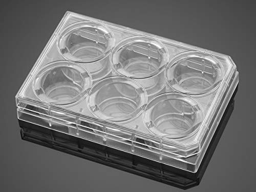 Corning Falcon TC-behandelte 6-Well-Multiwell Zellkulturplatte Flachem Boden mit Deckel, Steril, 50 Stück von Corning