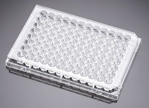 Corning Falcon 353072 96 Well Plate mit Lid, Cell Clear Flat Bottom TC-Treated Culture, Individually Wrapped, Sterile (50-er Pack) von Corning