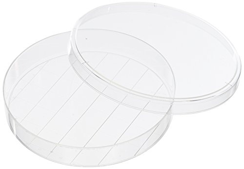 Corning Falcon Polystyrol TC-behandelte Zellkulturschale mit 20 mm Raster, 150mm Durchmesser, 100 Stück von Corning