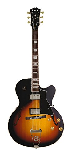 Cort B-001-0088-2 Elektrische Gitarre Hollow Body im Vintage-Stil Cort B-001-0088-2 Elektrische Gitarre Hollow Body im Vintage-Stil von Cort