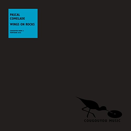 Wings on Rocks [Vinyl Single] von Cougouyou Music