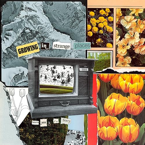 Growing in Strange Places (Ltd. Orange Crush Vinyl [Vinyl LP] von Run For Cover Records