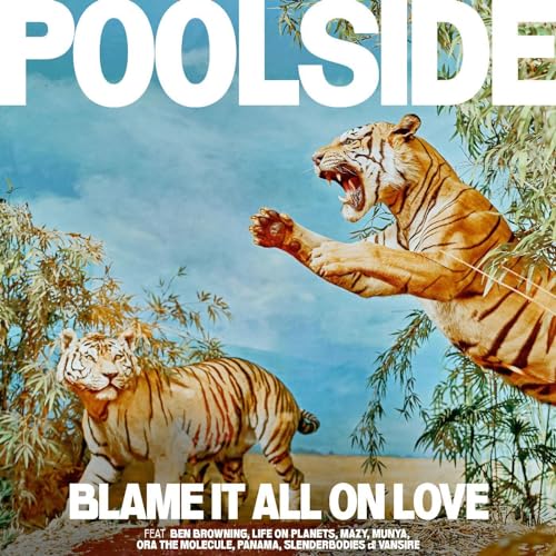 Blame It All On Love - Orange Colored Vinyl [Vinyl LP] von Counter Records