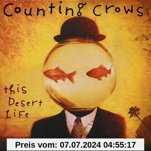 This Desert Life von Counting Crows