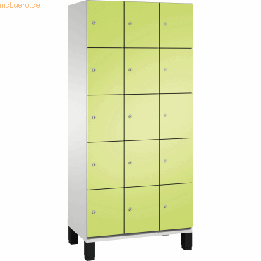 CP Fächerschrank 4510430S10021 Füße 15 Fächer B900mm lichtgrau/clowngr CP Fächerschrank 4510430S10021 Füße 15 Fächer B900mm lichtgrau/clowngr von Cp