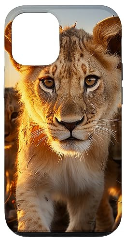 Hülle für iPhone 14 Baby Löwe Junge Schöne Safari Cover Phone von Creative Cases