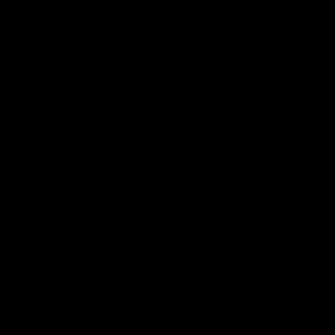 Cricut Aufbügelfolie 33 cm x 0.9 m schwarz von Cricut