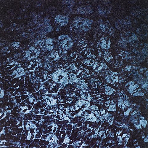 Peroxide [7" VINYL] [Vinyl Single] von CAPTURED TRACKS REC.