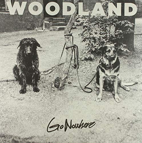 Go Nowhere (Black Vinyl Incl.CD) [Vinyl LP] von Crispin Glover Records (Soulfood)