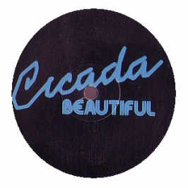 Beautiful [Vinyl Single] von Critical Mass