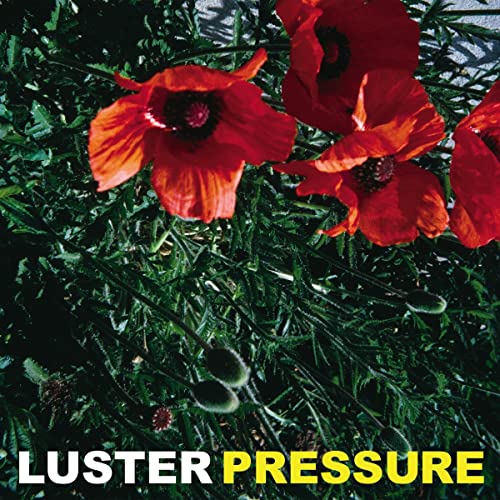 Pressure [Vinyl LP] von Crunchy Frog (Membran)