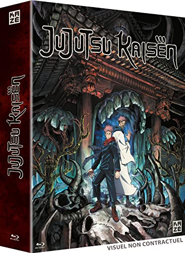 Jujutsu kaisen - saison 1 [Blu-ray] [FR Import] von ARCADES VIDEO