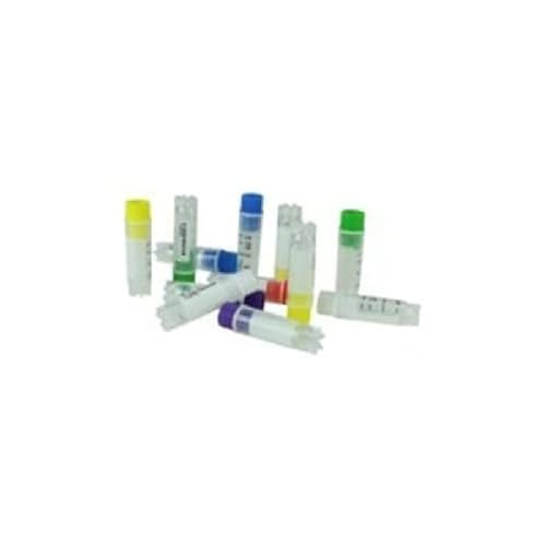 Cryomaster Kryoröhrchen, 2.0mL, Innengewinde, Blaue Schraubkappe, Standring, 1D-Barcode Seitlich, 500 Stück von Cryomaster