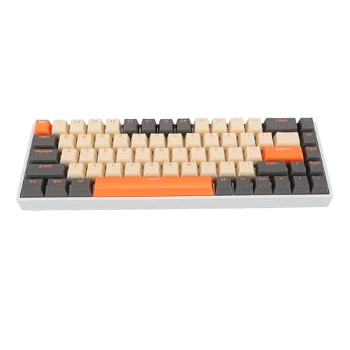 Cuifati 68 Taste Kabel-Gaming-Tastatur, Dynamische RGB-Hintergrundbeleuchtung, Typ-C-Kabel Tragbare Tastatur Suppoet Hot Swappable Keine Taste für Heim, Büro und Spiele Cuifati 68 Taste Kabel-Gaming-Tastatur, Dynamische RGB-Hintergrundbeleuchtung, Typ-C-Kabel Tragbare Tastatur Suppoet Hot Swappable Keine Taste für Heim, Büro und Spiele von Cuifati
