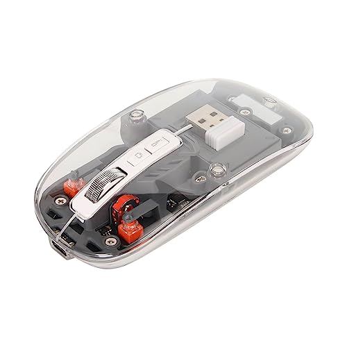 Cuifati Drahtlose Bluetooth-Maus, Vollständig Transparente, Wiederaufladbare USB-C-Computermaus, BT5.1 2,4 G Dual-Modus, 4 DPI, Bunte Atemlichter, Stummgeschaltete Mäuse für (Grau) von Cuifati