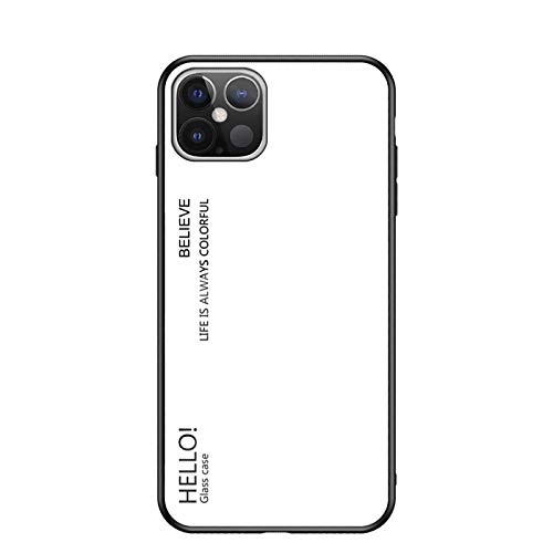 Custodia® Farbverlauf Anti-Kratzer Glas Hülle Kompatibel für Apple iPhone 12 Pro Max (9) von Custodia